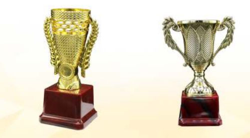 Trophy & Medals Supplier in Mumbai Schools