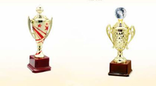 Trophy & Medals Manufacturer in Mumbai