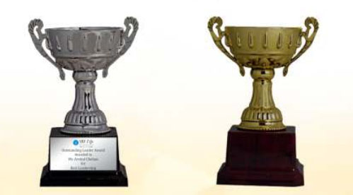 Trophy & Medals Supplier in Mumbai Schools
